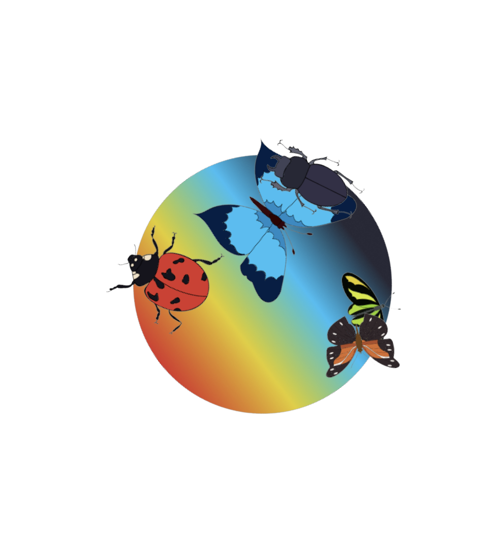 This is of my head tilted to the right.